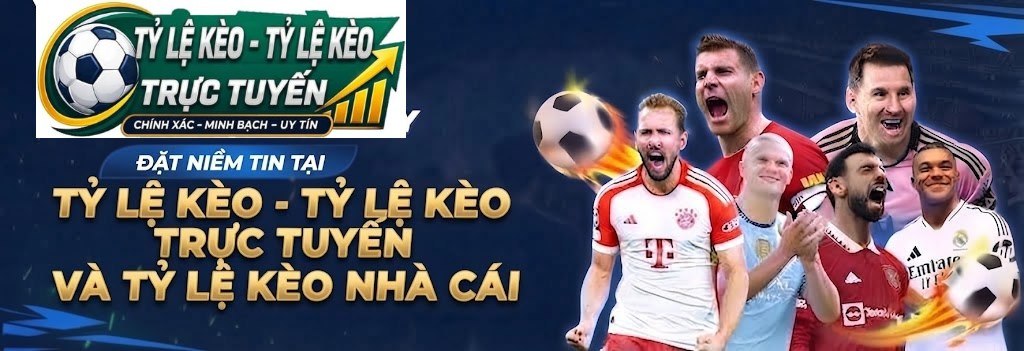 banner-tylekeo