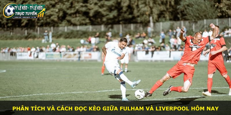 Phân tích và cách đọc kèo giữa Fulham và Liverpool hôm nay
