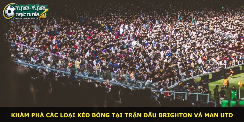 Khám phá các loại kèo bóng tại trận đấu Brighton và Man Utd