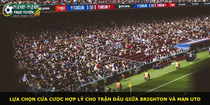 Lựa chọn cửa cược hợp lý cho trận đấu giữa Brighton và Man Utd