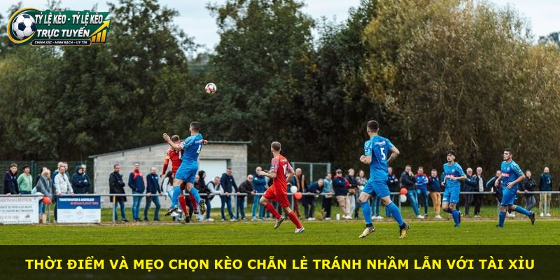 Thời điểm và mẹo chọn kèo chẵn lẻ tránh nhầm lẫn với tài xỉu