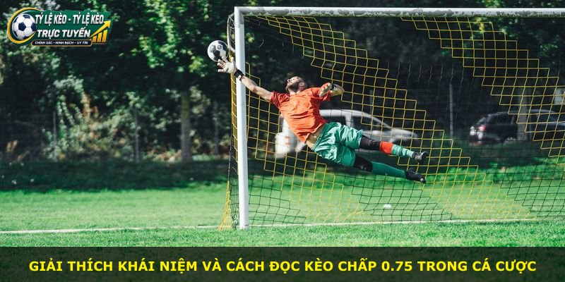 Giải thích khái niệm và cách đọc kèo chấp 0.75 trong cá cược