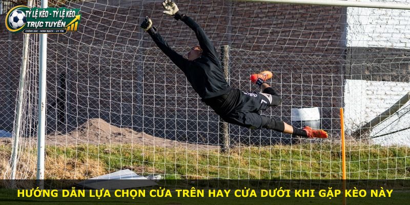Hướng dẫn lựa chọn cửa trên hay cửa dưới khi gặp kèo này