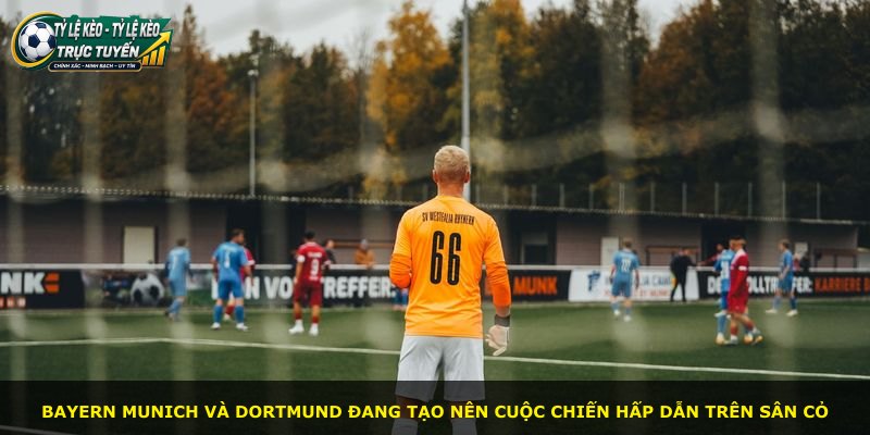 Bayern Munich và Dortmund đang tạo nên cuộc chiến hấp dẫn trên sân cỏ