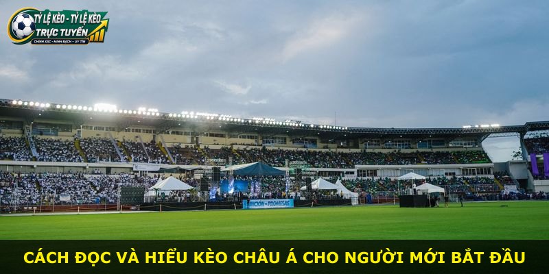 Cách đọc và hiểu kèo Châu Á cho người mới bắt đầu
