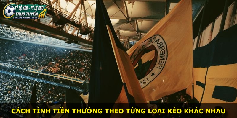Cách tính tiền thưởng theo từng loại kèo khác nhau
