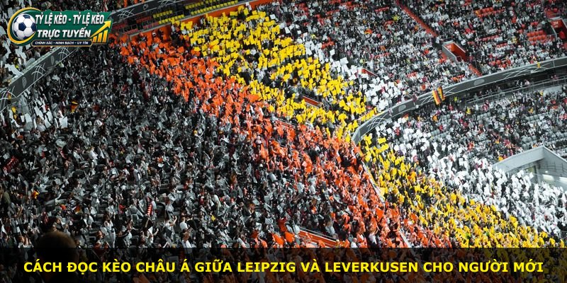 Cách đọc kèo châu Á giữa Leipzig và Leverkusen cho người mới