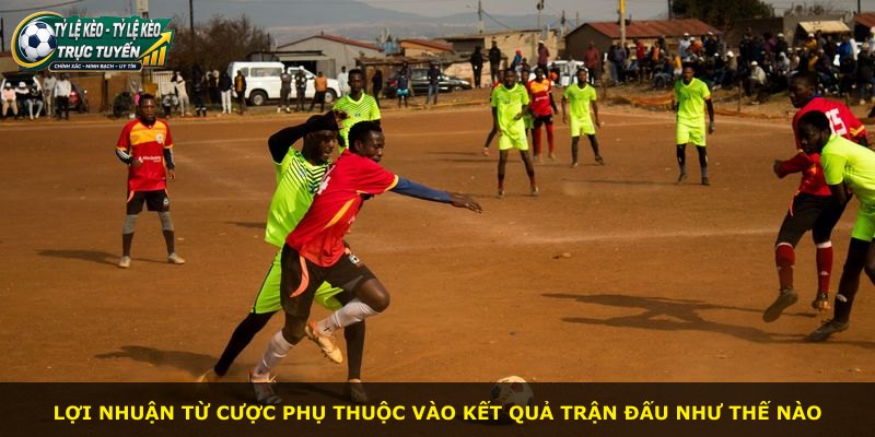 Lợi nhuận từ cược phụ thuộc vào kết quả trận đấu như thế nào