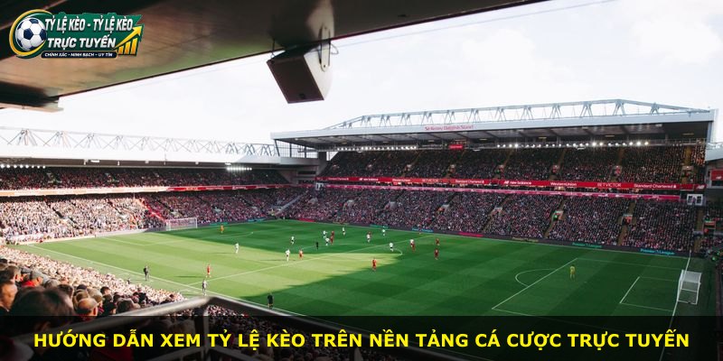 Hướng dẫn xem tỷ lệ kèo trên nền tảng cá cược trực tuyến