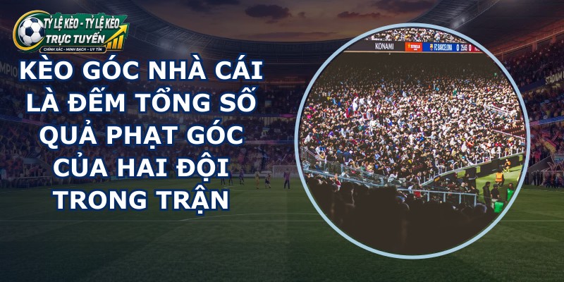 Kèo Góc Nhà Cái