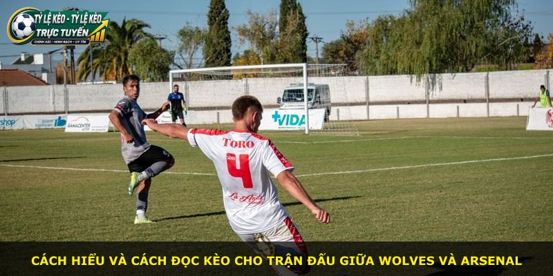 Cách hiểu và cách đọc kèo cho trận đấu giữa Wolves và Arsenal
