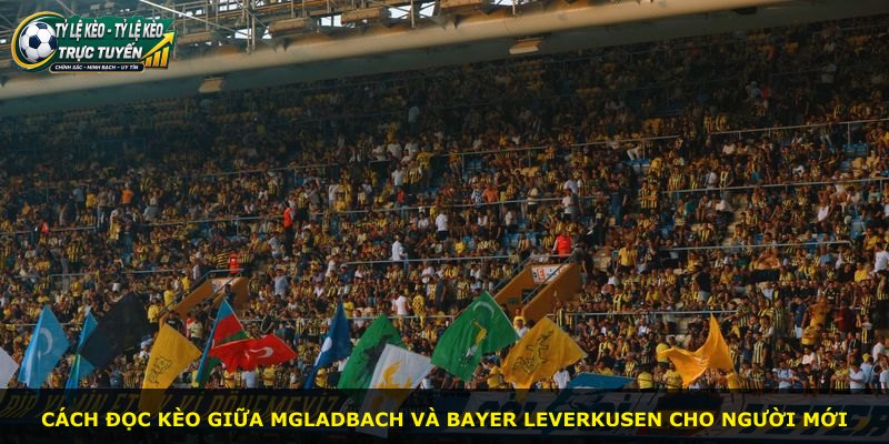 Cách đọc kèo giữa Mgladbach và Bayer Leverkusen cho người mới