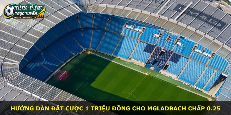 Hướng dẫn đặt cược 1 triệu đồng cho Mgladbach chấp 0.25