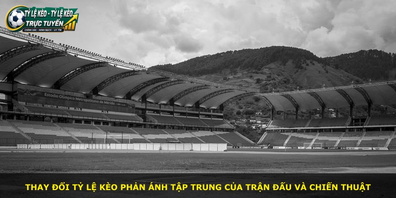 Thay đổi tỷ lệ kèo phản ánh tập trung của trận đấu và chiến thuật