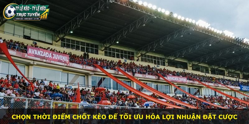 Chọn thời điểm chốt kèo để tối ưu hóa lợi nhuận đặt cược