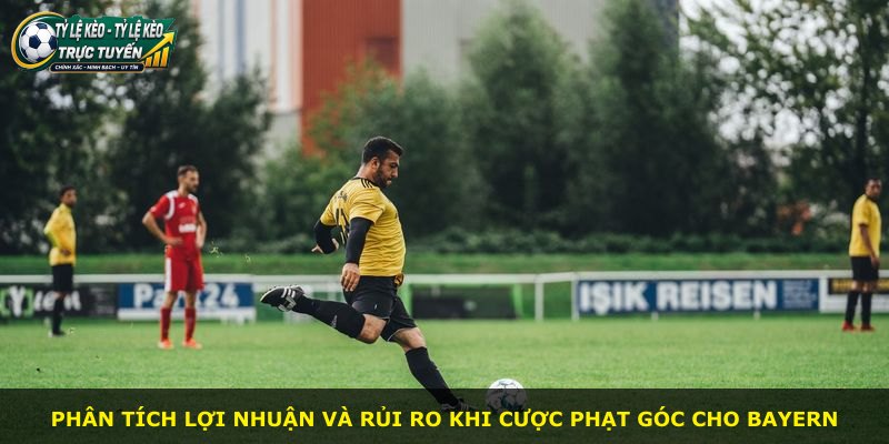 Phân tích lợi nhuận và rủi ro khi cược phạt góc cho Bayern