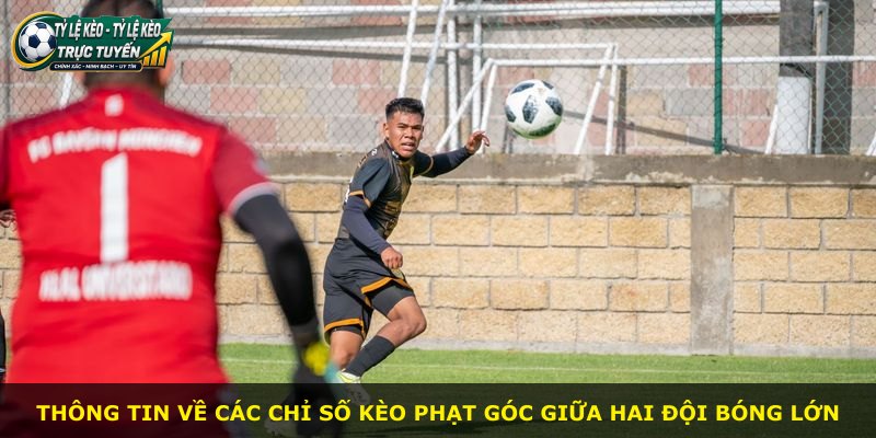 Thông tin về các chỉ số kèo phạt góc giữa hai đội bóng lớn