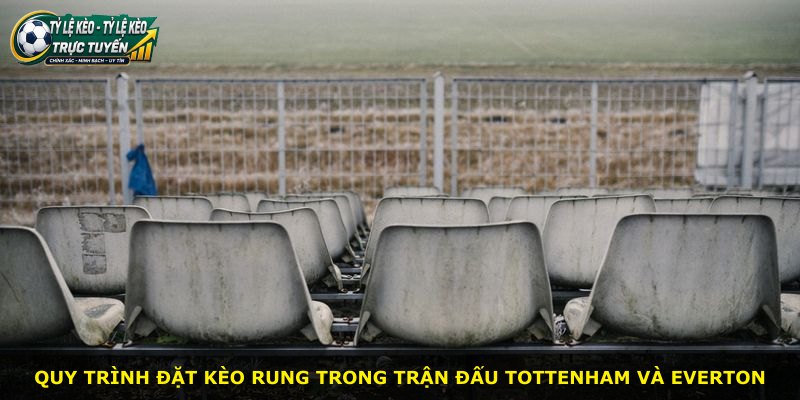 Quy trình đặt kèo rung trong trận đấu Tottenham và Everton