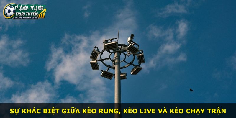 Sự khác biệt giữa kèo rung, kèo live và kèo chạy trận