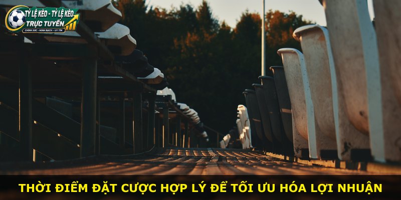Thời điểm đặt cược hợp lý để tối ưu hóa lợi nhuận