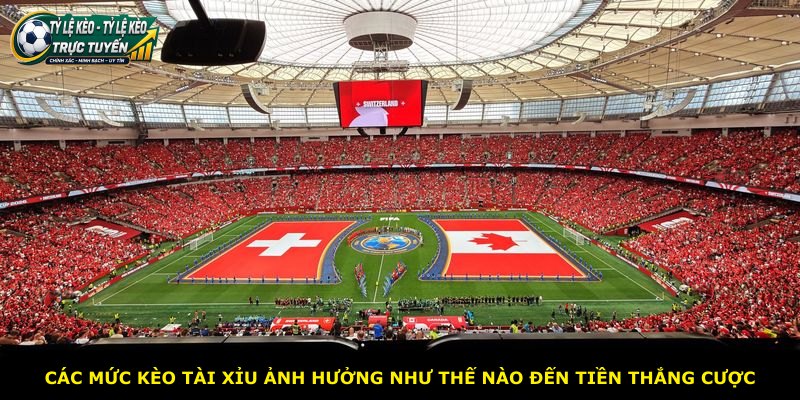 Các mức kèo Tài Xỉu ảnh hưởng như thế nào đến tiền thắng cược