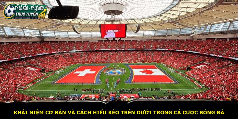Khái niệm cơ bản và cách hiểu kèo trên dưới trong cá cược bóng đá