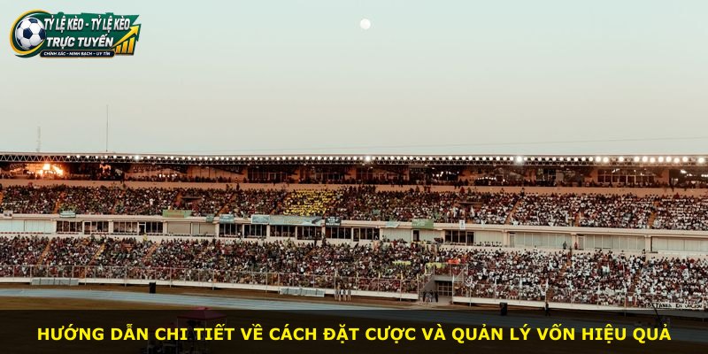 Hướng dẫn chi tiết về cách đặt cược và quản lý vốn hiệu quả