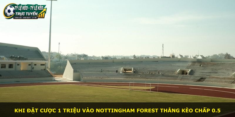 Khi đặt cược 1 triệu vào Nottingham Forest thắng kèo chấp 0.5