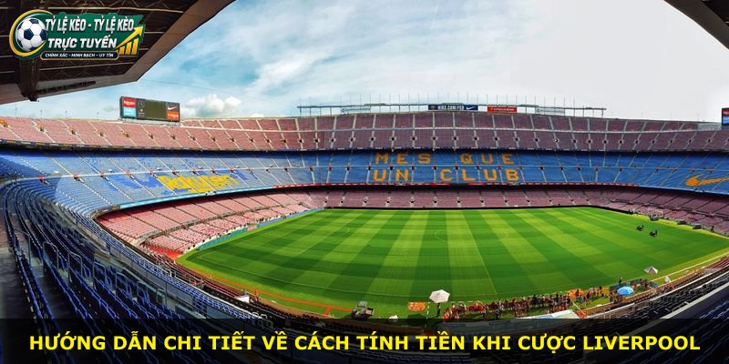 Hướng dẫn chi tiết về cách tính tiền khi cược Liverpool