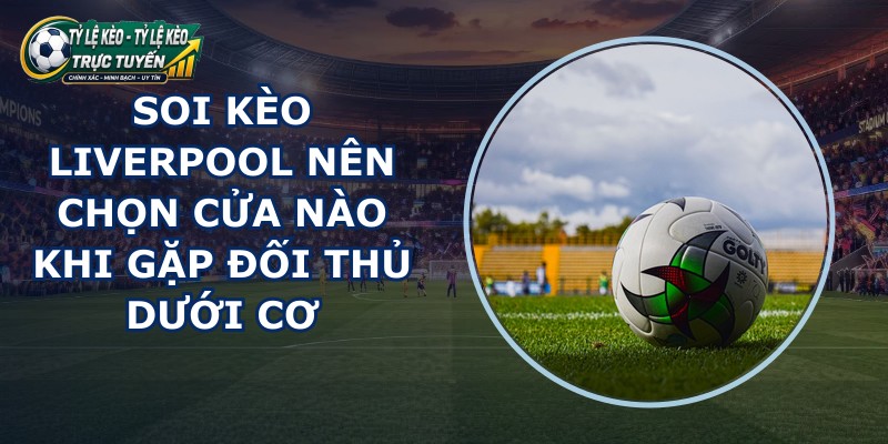 soi kèo Liverpool
