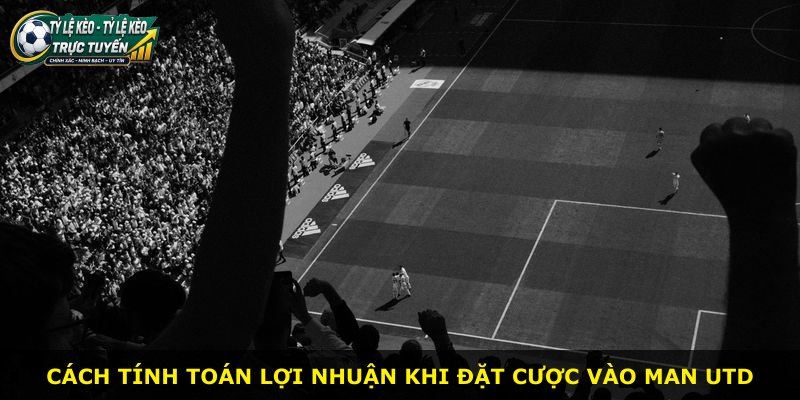 Cách tính toán lợi nhuận khi đặt cược vào Man Utd