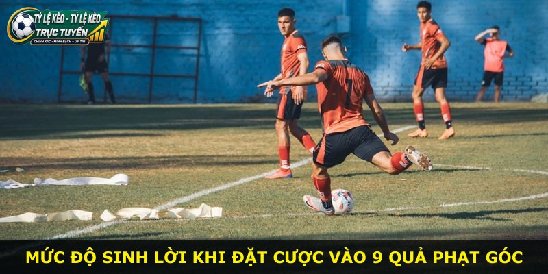 Mức độ sinh lời khi đặt cược vào 9 quả phạt góc