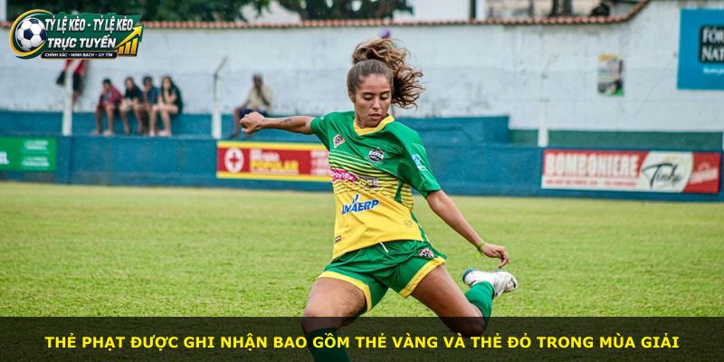 Thẻ phạt được ghi nhận bao gồm thẻ vàng và thẻ đỏ trong mùa giải