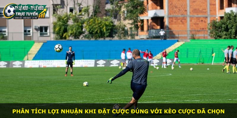 Phân tích lợi nhuận khi đặt cược đúng với kèo cược đã chọn