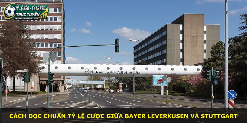 Cách đọc chuẩn tỷ lệ cược giữa Bayer Leverkusen và Stuttgart