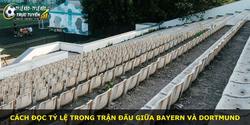 Cách đọc tỷ lệ trong trận đấu giữa Bayern và Dortmund