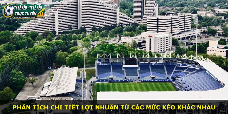 Phân tích chi tiết lợi nhuận từ các mức kèo khác nhau