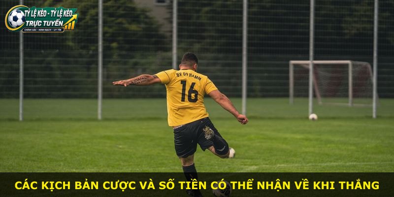 Các kịch bản cược và số tiền có thể nhận về khi thắng