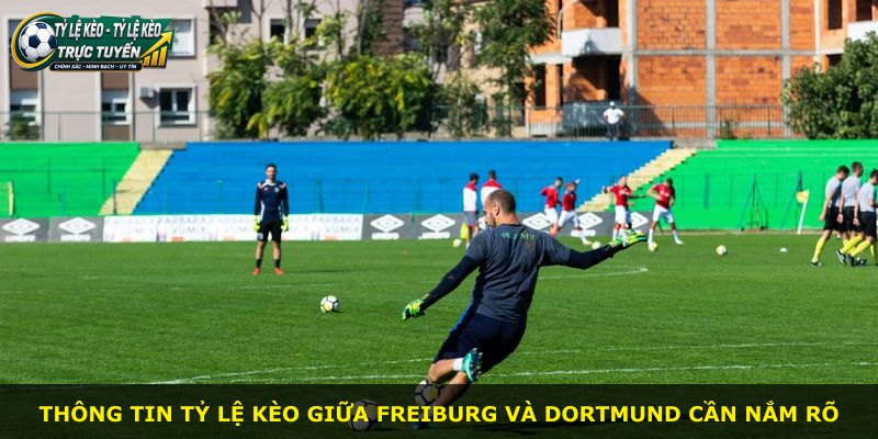 Thông tin tỷ lệ kèo giữa Freiburg và Dortmund cần nắm rõ
